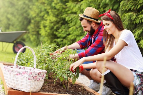 PayPal and card payment security for tree surgery services