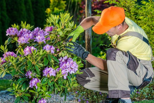 Emergency tree surgeon assessing storm-damaged trees in Uxbridge