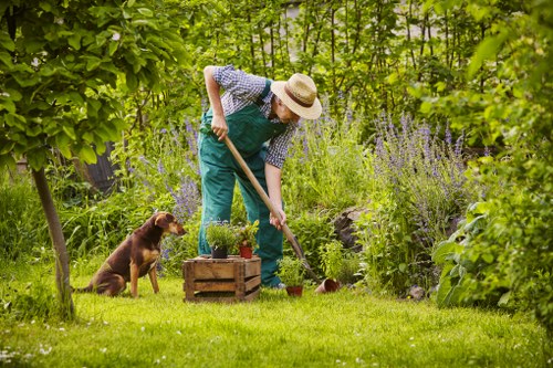 Tree surgeons handling green waste for recycling in Uxbridge