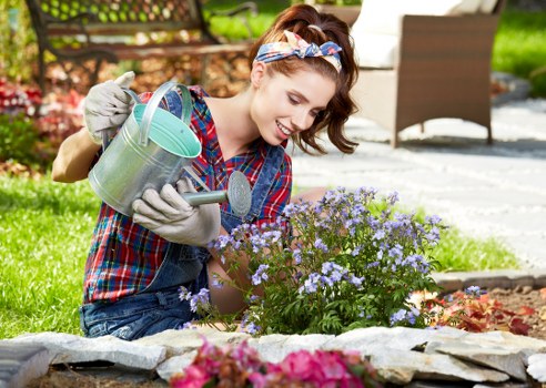 Local hedge maintenance for residential and commercial properties
