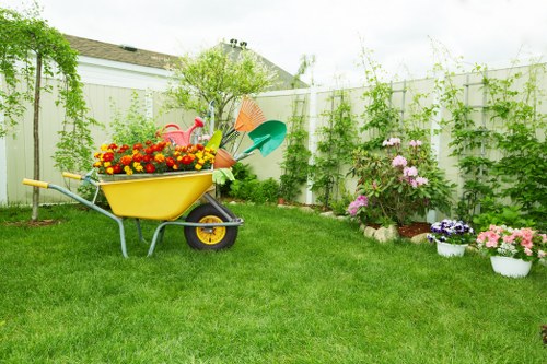 Professional tree surgery assessment in a residential garden