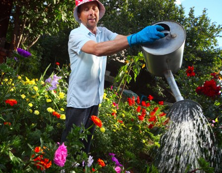 Safe and convenient Tree Surgeons Uxbridge payment methods