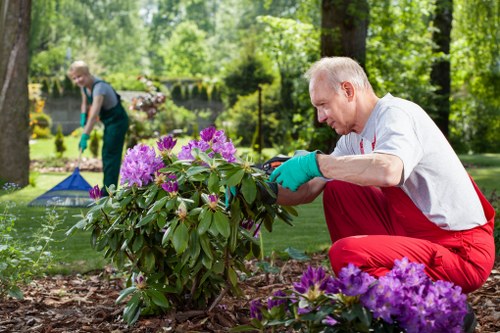 Stump grinding for a neat garden finish in Uxbridge