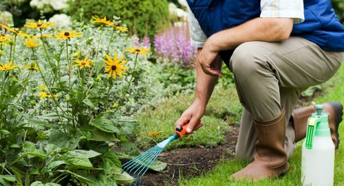 Professional tree condition check for a commercial site in Uxbridge