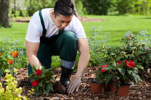Waste removal and recycling of arboricultural materials