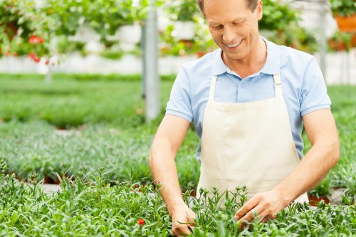 Professional arborist pruning branches safely in Uxbridge