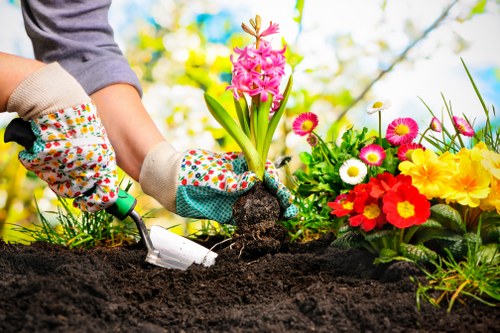 Accessible tree surgery content for screen-reader users in Uxbridge