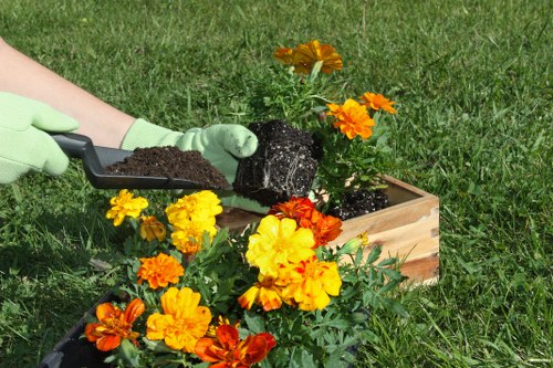 Charity partnership using recycled woodchip and timber